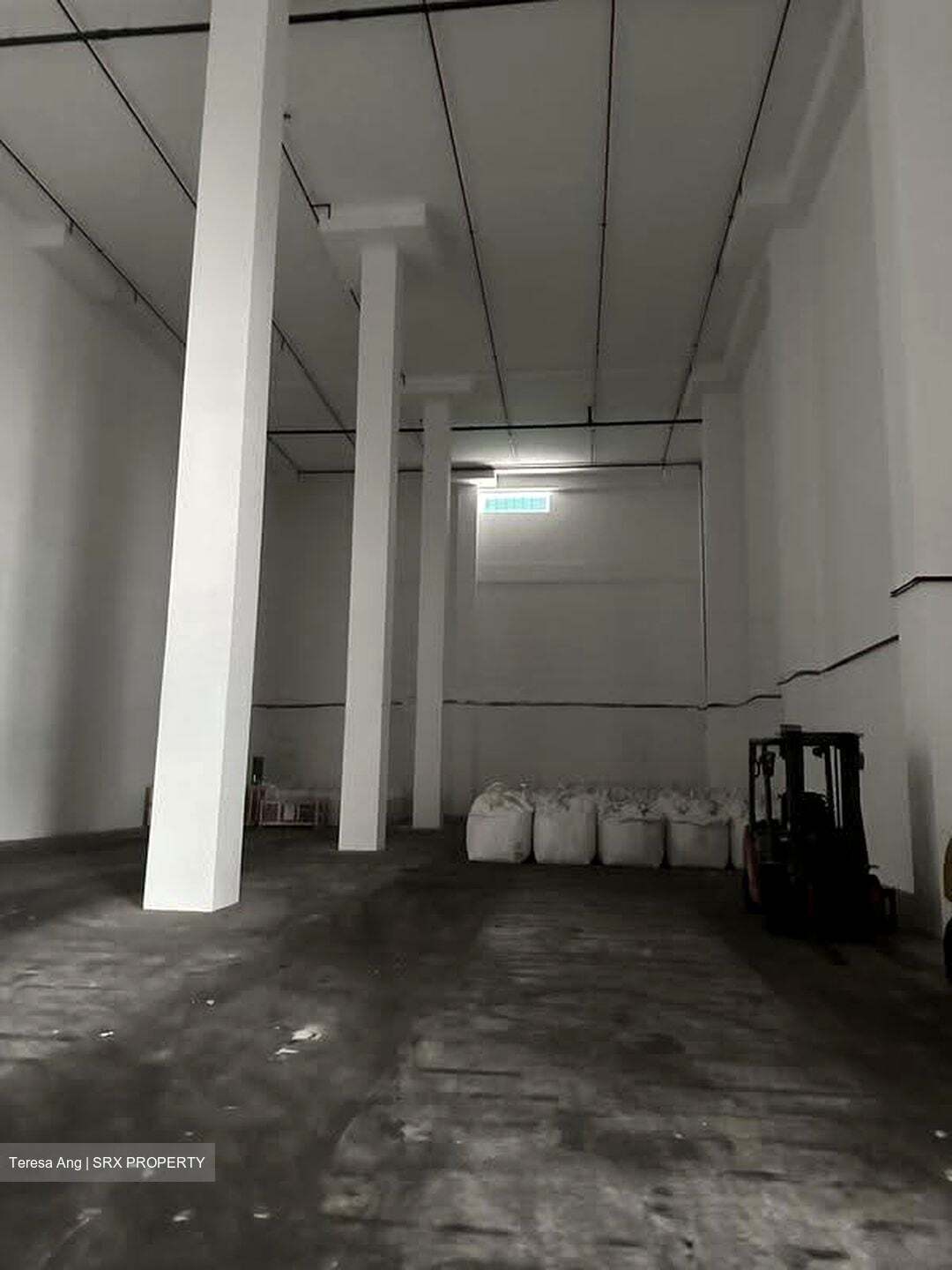 Peck Tiong Choon Industrial Building (D22), Factory #625894431